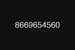8669654560