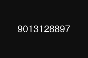 9013128897