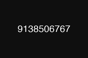 9138506767