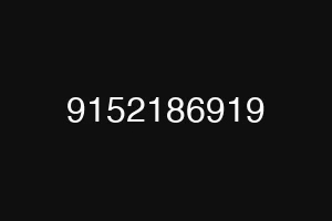 9152186919