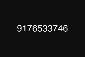 9176533746