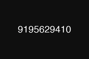 9195629410